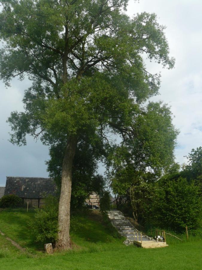 La Fleur Et Le Soleil Bed & Breakfast Durbuy Eksteriør bilde